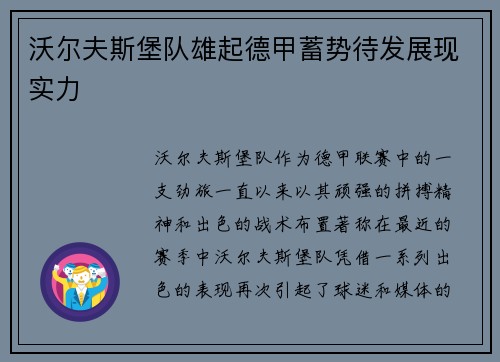 沃尔夫斯堡队雄起德甲蓄势待发展现实力